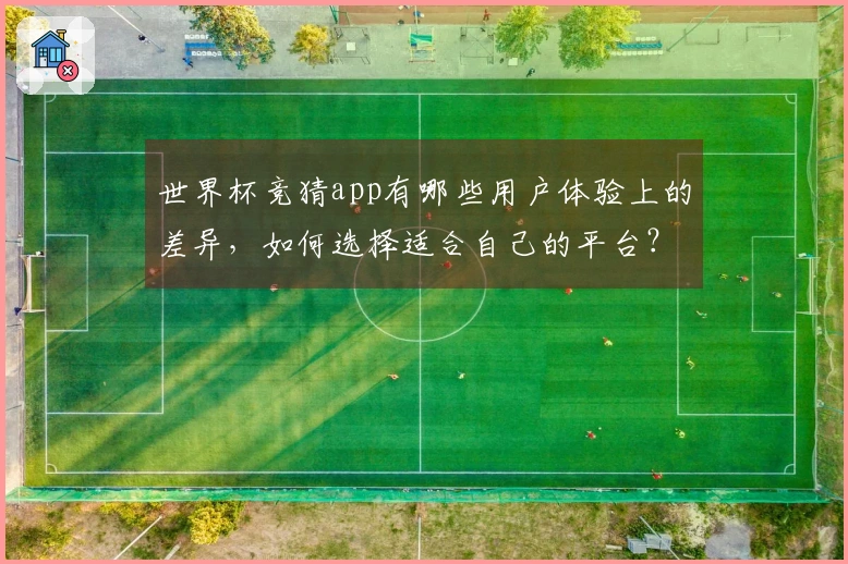 世界杯竞猜app有哪些用户体验上的差异，如何选择适合自己的平台？