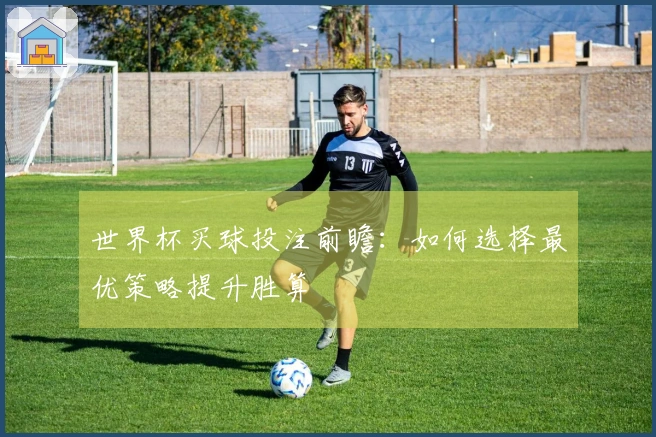 世界杯买球投注前瞻：如何选择最优策略提升胜算