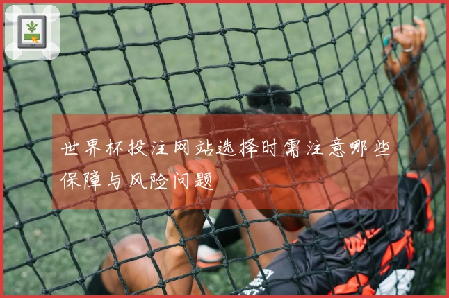 世界杯投注网站选择时需注意哪些保障与风险问题