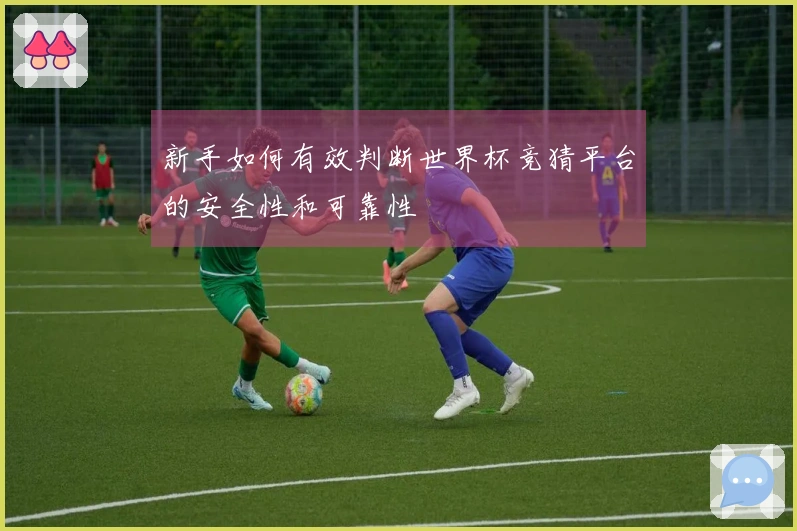 新手如何有效判断世界杯竞猜平台的安全性和可靠性