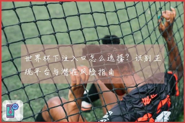 世界杯下注入口怎么选择？识别正规平台与潜在风险指南