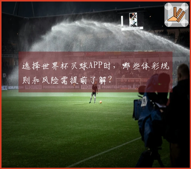 选择世界杯买球APP时，哪些体彩规则和风险需提前了解？