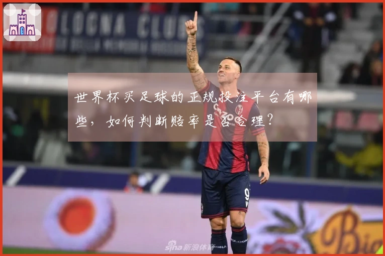 世界杯买足球的正规投注平台有哪些，如何判断赔率是否合理？