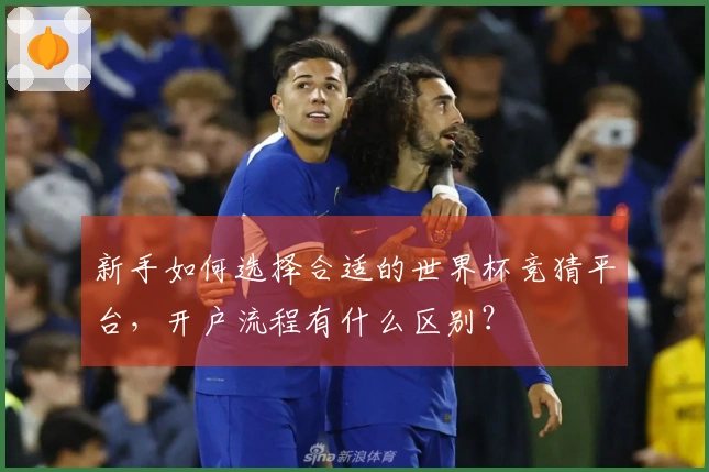 新手如何选择合适的世界杯竞猜平台，开户流程有什么区别？