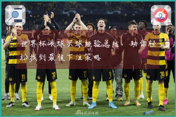 世界杯滚球买球经验总结，助你轻松找到最佳下注策略
