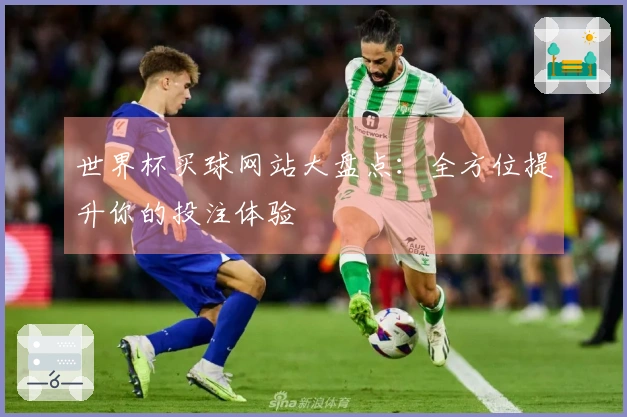 世界杯买球网站大盘点：全方位提升你的投注体验