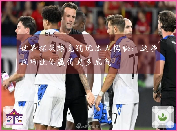 世界杯买球竞猜玩法大揭秘，这些技巧让你赢得更多底气