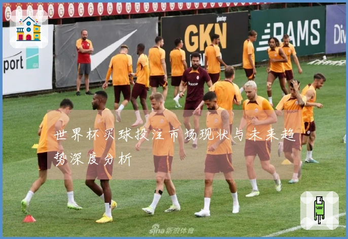 世界杯买球投注市场现状与未来趋势深度分析