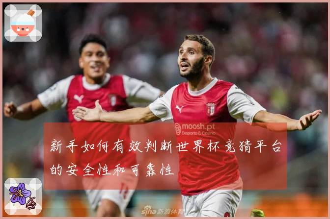 新手如何有效判断世界杯竞猜平台的安全性和可靠性