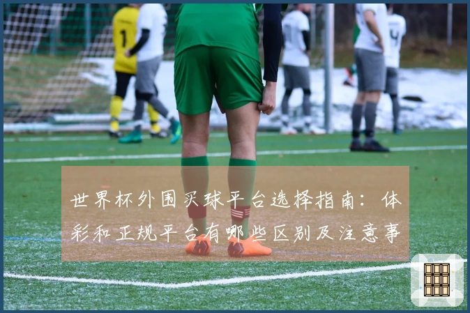 世界杯外围买球平台选择指南：体彩和正规平台有哪些区别及注意事项