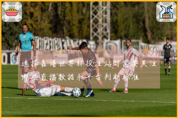 选择靠谱世界杯投注站时需要关注哪些直播数据和平台判断标准