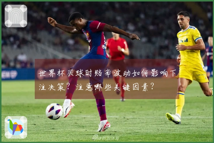 世界杯买球时赔率波动如何影响下注决策？注意哪些关键因素？