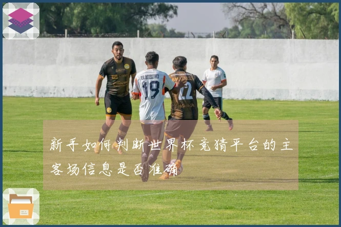 新手如何判断世界杯竞猜平台的主客场信息是否准确
