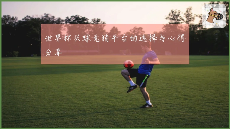 世界杯买球竞猜平台的选择与心得分享