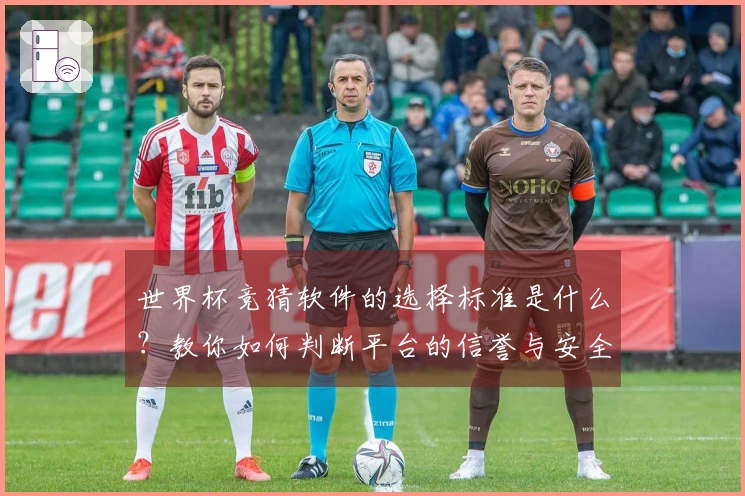 世界杯竞猜软件的选择标准是什么？教你如何判断平台的信誉与安全性