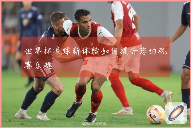 世界杯滚球新体验如何提升您的观赛乐趣