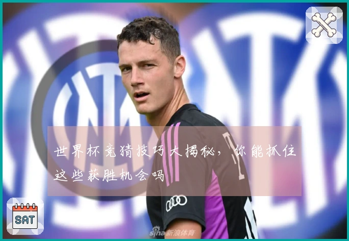 世界杯竞猜技巧大揭秘，你能抓住这些获胜机会吗