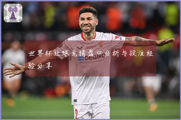 世界杯让球竞猜盘口分析与投注经验分享