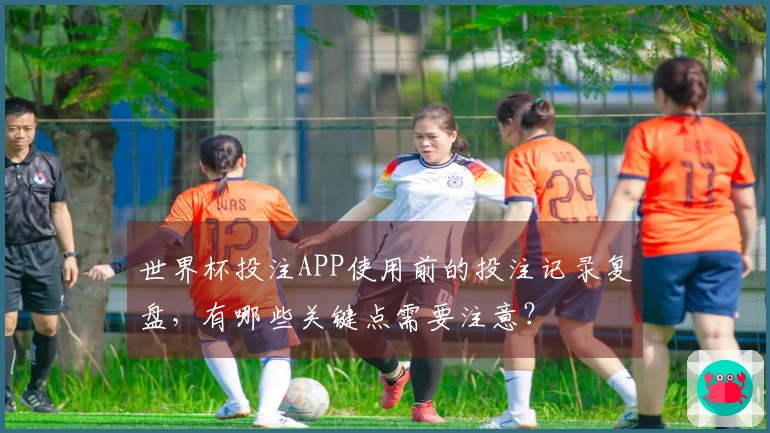 世界杯投注APP使用前的投注记录复盘，有哪些关键点需要注意？