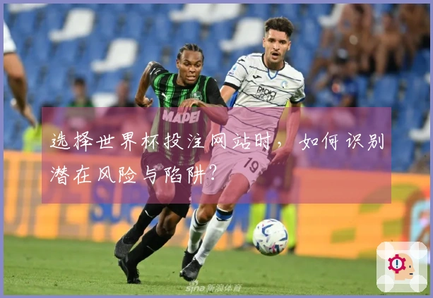 选择世界杯投注网站时，如何识别潜在风险与陷阱？