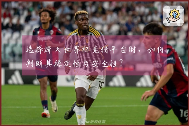 选择烽火世界杯竞猜平台时，如何判断其稳定性与安全性？