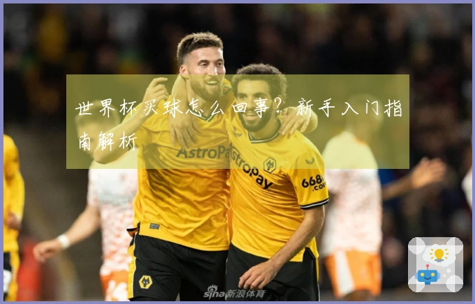 世界杯买球怎么回事？新手入门指南解析