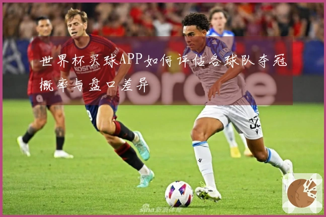 世界杯买球APP如何评估各球队夺冠概率与盘口差异