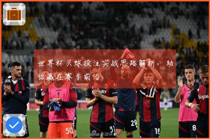 世界杯买球投注实战思路解析，助你赢在赛季前沿