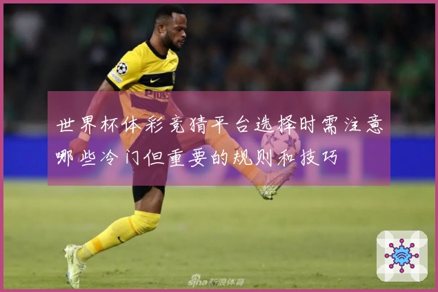 世界杯体彩竞猜平台选择时需注意哪些冷门但重要的规则和技巧