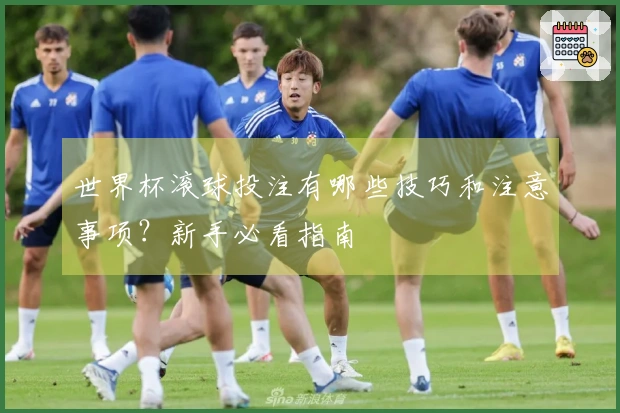 世界杯滚球投注有哪些技巧和注意事项?新手必看指南