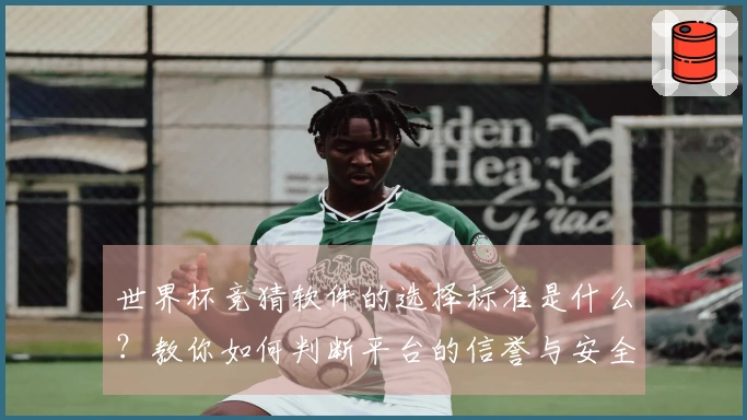 世界杯竞猜软件的选择标准是什么？教你如何判断平台的信誉与安全性