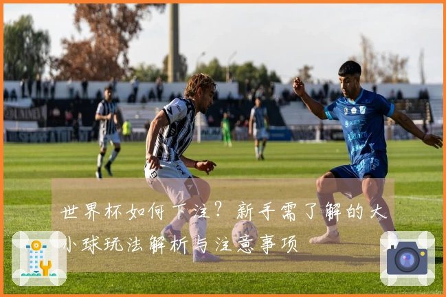 世界杯如何下注？新手需了解的大小球玩法解析与注意事项
