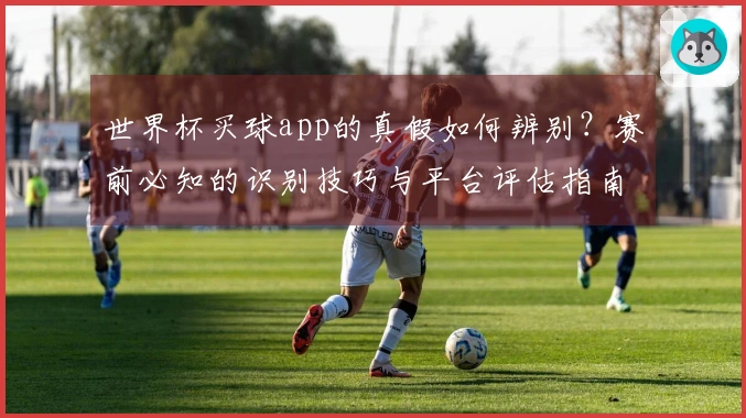 世界杯买球app的真假如何辨别？赛前必知的识别技巧与平台评估指南