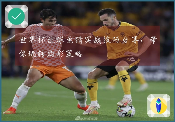 世界杯让球竞猜实战技巧分享，带你玩转购彩策略