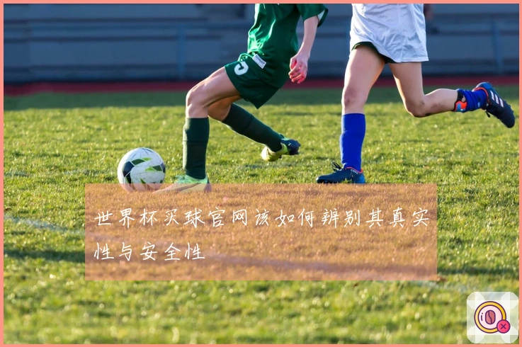 世界杯买球官网该如何辨别其真实性与安全性